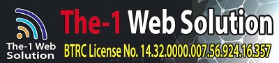 THE 1 WEB SOLUTION